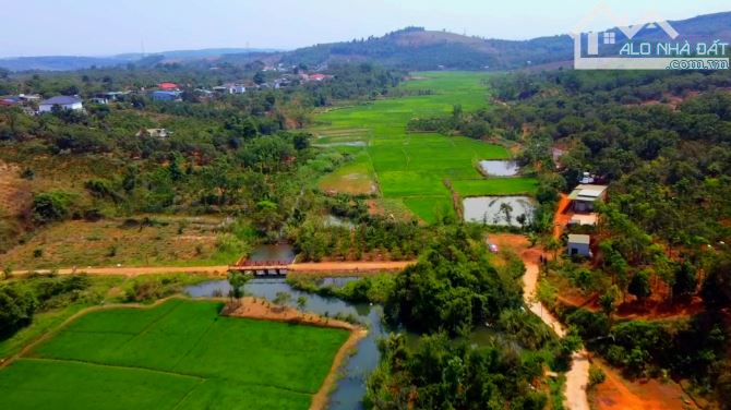 Bán đất Nghĩa Thắng ĐăkRLấp, view suối ruộng, 37m đường bê tông, 525 triệu - 4