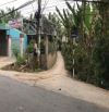 Nhánh đan đá mi 2,4 đường Trương Văn Kỉnh đoạn khu dân cư