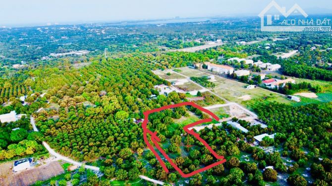 Giá tốt bán nhanh lô đất trồng cây xã Cam Hải Tây, gần trường Nghê Cam Lâm, giá đầu tư