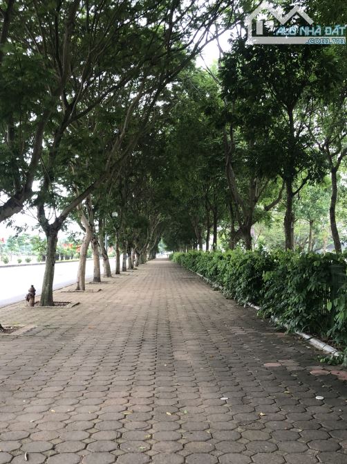 Bán đất  mặt phố Gia Thụy - Tạ Đông Trung - Long Biên