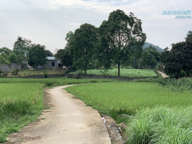 Lô đất có view cánh đồng, lô góc đường to, đường thông tại Lương Sơn. 1500m/400m TC