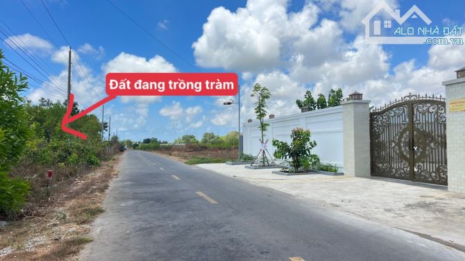 1 Sào Nguyễn Huệ-Đất Đỏ 12,6x79m-200tc giá 3ty050 - 1