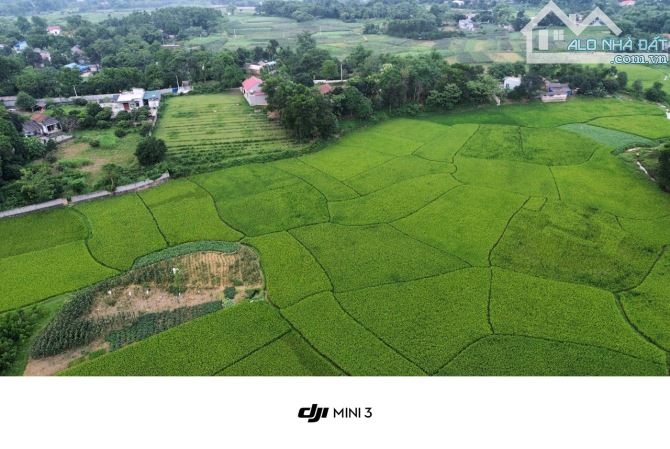 Bán đất nghỉ dưỡng view cánh đồng xanh mướt 2000m 100m thổ cư Liên Sơn Lương Sơn Hòa Bình - 1