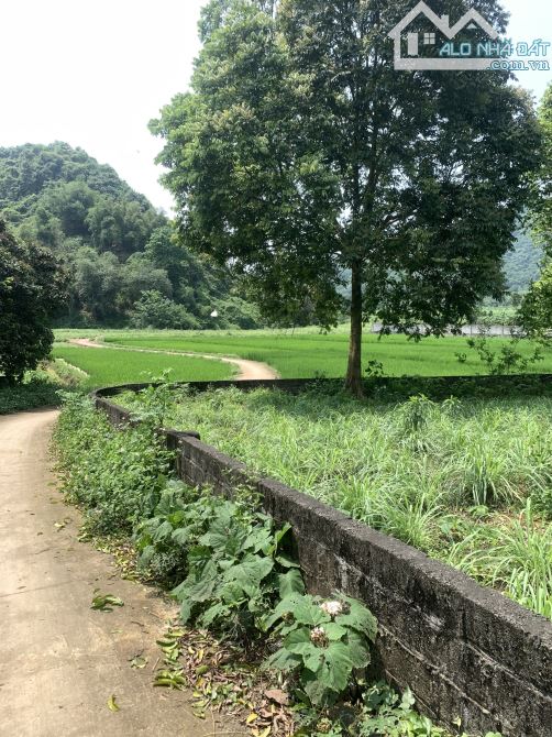 Lô đất có view cánh đồng, lô góc đường to, đường thông tại Lương Sơn. 1500m/400m TC - 3