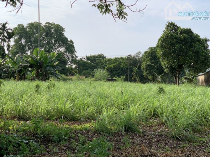 Lô đất có view cánh đồng, lô góc đường to, đường thông tại Lương Sơn. 1500m/400m TC - 5