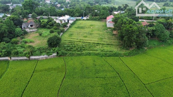 Bám đất nghỉ dưỡng view cánh đồng xanh mướt 2000m 100m thổ cứ Liên Sơn Lương Sơn Hòa Bình - 5