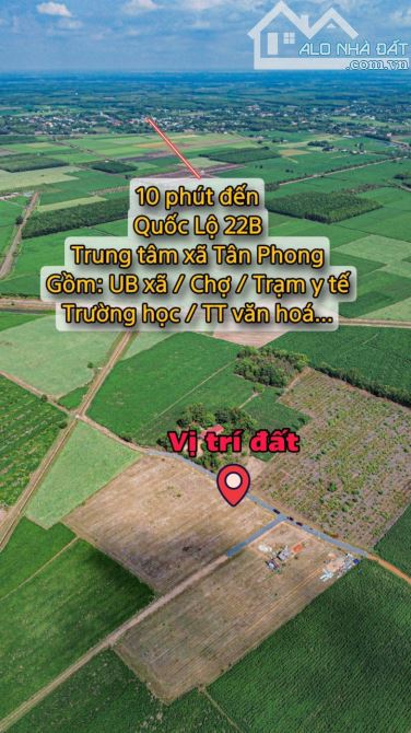 Đất full thổ cư tại Tân Phong - Tân Biên 179tr - 5
