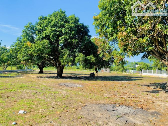 Giá tốt bán nhanh lô đất trồng cây xã Cam Hải Tây, gần trường Nghê Cam Lâm, giá đầu tư - 7