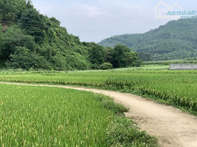 Lô đất có view cánh đồng, lô góc đường to, đường thông tại Lương Sơn. 1500m/400m TC - 7