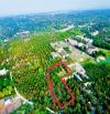 Bán lô đất trồng cây xã Cam Hải Tây, gần trường Trung Cấp Nghê Cam Lâm, giá đầu tư