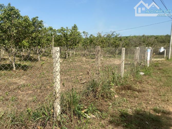 bán 5000m2 đất vườn có 22m mặt tiền đường hiển thi mà giá chỉ có 1,5ty,giá quá rẽ
