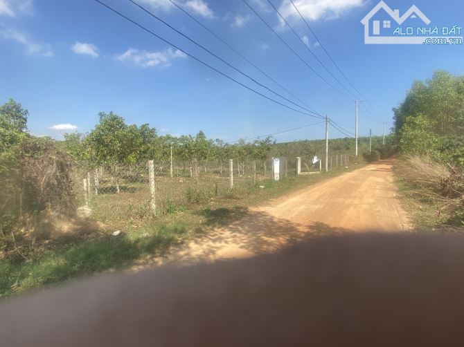 bán 5000m2 đất vườn có 22m mặt tiền đường hiển thi mà giá chỉ có 1,5ty,giá quá rẽ - 1