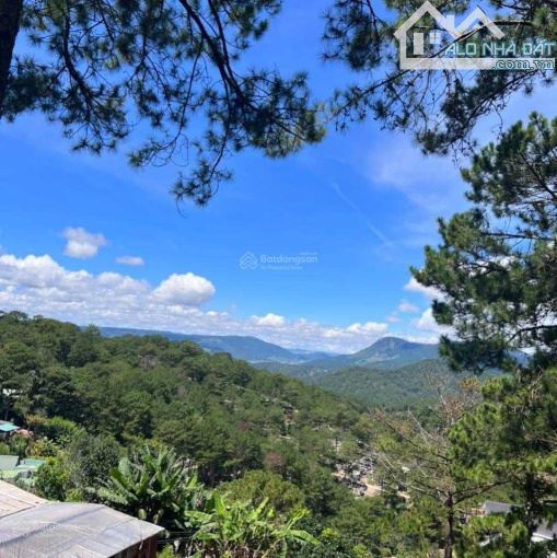 Cho thuê đất view cực phẩm tại đường Trần Quang Diệu P10 Đà Lạt - 1