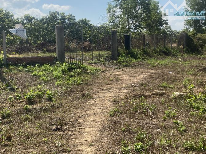 bán 5000m2 đất vườn có 22m mặt tiền đường hiển thi mà giá chỉ có 1,5ty,giá quá rẽ - 3