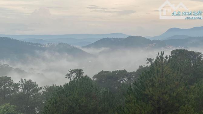 Cho thuê đất view cực phẩm tại đường Trần Quang Diệu P10 Đà Lạt - 3