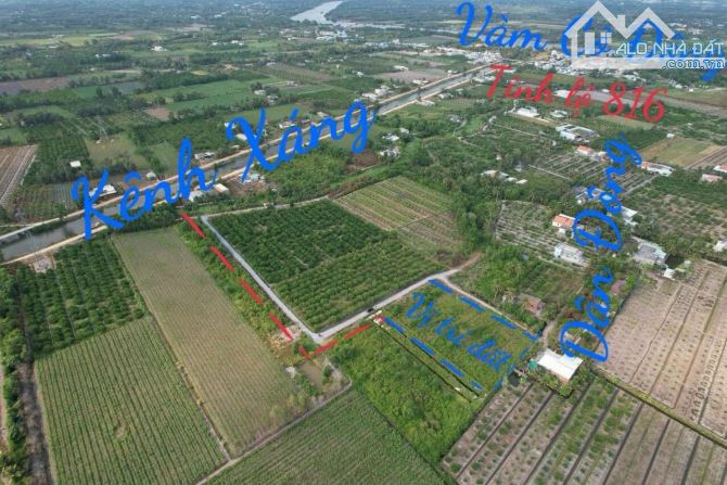 Chủ gửi bán 3000m2 vườn. Bình đức - bến lức - long an - 3