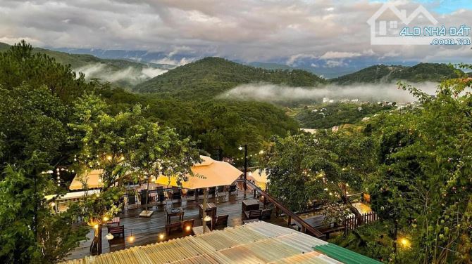 Cho thuê đất view cực phẩm tại đường Trần Quang Diệu P10 Đà Lạt - 4