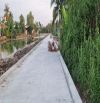 Bán đất mặt tiền Rạch Hàng Bàng -Dt: 7.5x25m cách ngã 5 Hoàng Quốc Việt 250m lộ 8m