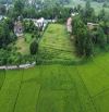 bán đất trong khu nghỉ dưỡng Cư Yên Lương Sơn Hòa Bình 1111m 200m thổ cư giá rẻ