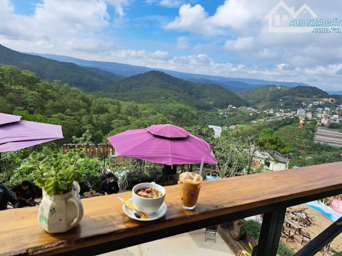 Cho thuê đất trống Trần Quang Diệu gần cafe Kimochi nổi tiếng view thông đỉnh của chóp