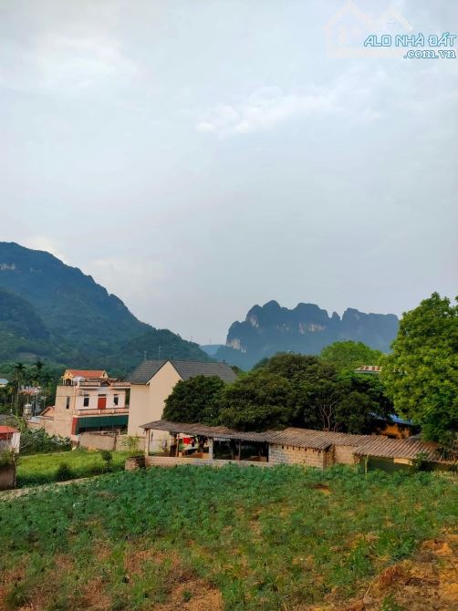 Cần bán mảnh đất CC có 419m full thổ cư tại Lương Sơn đất 2 mặt đường giá đầu tư