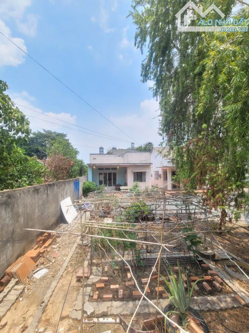 5,2Tỷ TL🔥Bán đất 163,4m2 tặng nhà cấp 4 MT đường Tú Xương p.Dĩ An Tp.Dĩ An