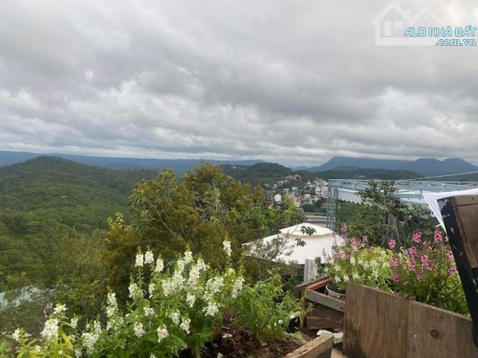 Cho thuê đất trống Trần Quang Diệu gần cafe Kimochi nổi tiếng view thông đỉnh của chóp - 1