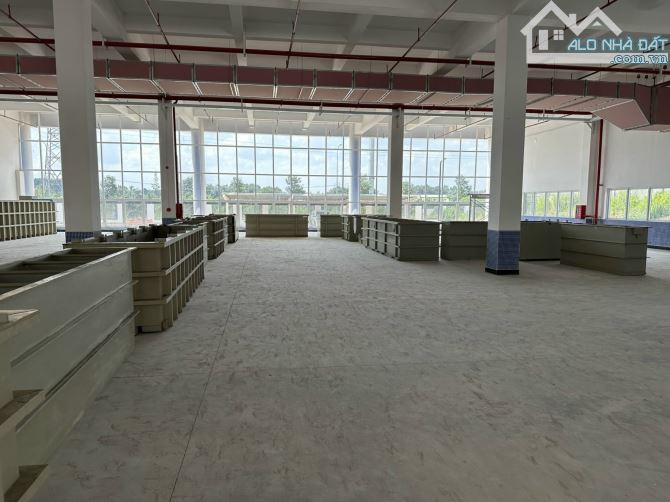 *Cho thuê kho xưởng*6000m2 KCN An Phước, Long Thành, Đồng Nai - 1