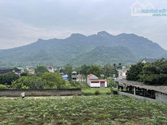 Cần bán mảnh đất CC có 419m full thổ cư tại Lương Sơn đất 2 mặt đường giá đầu tư - 1