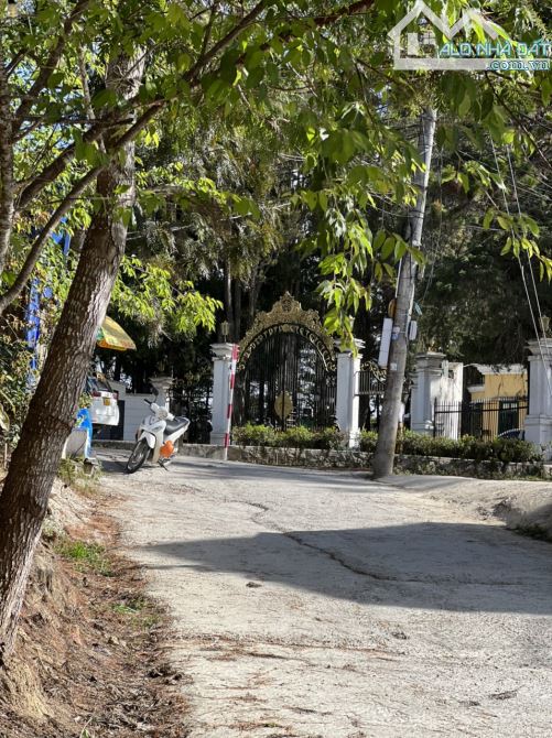 Cho thuê đất trống Trần Quang Diệu gần cafe Kimochi nổi tiếng view thông đỉnh của chóp - 2