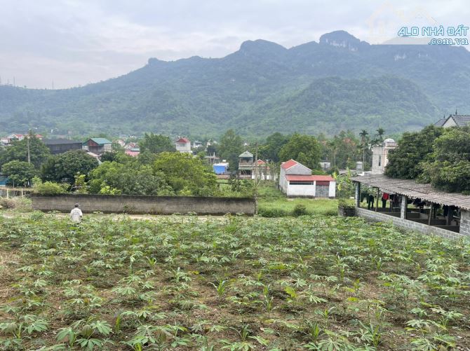 Cần bán mảnh đất CC có 419m full thổ cư tại Lương Sơn đất 2 mặt đường giá đầu tư - 2