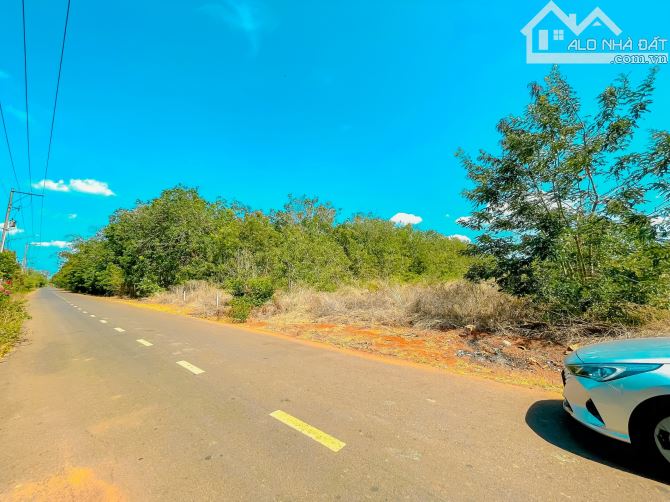 BÁN LÔ ĐẤT ĐẸP MT NHỰA TP.BÀ RỊA, PHỦ HỒNG -THỔ CƯ KHỦNG, CÁCH BIỂN CHỈ 15 PHÚT DI CHUYỂN - 3