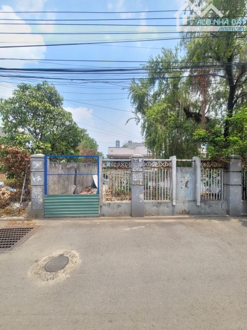 5,2Tỷ TL🔥Bán đất 163,4m2 tặng nhà cấp 4 MT đường Tú Xương p.Dĩ An Tp.Dĩ An - 3