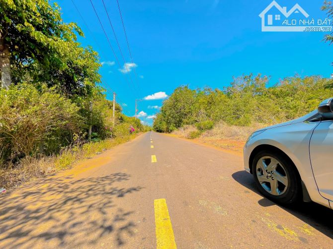 BÁN LÔ ĐẤT ĐẸP MT NHỰA TP.BÀ RỊA, PHỦ HỒNG -THỔ CƯ KHỦNG, CÁCH BIỂN CHỈ 15 PHÚT DI CHUYỂN - 4