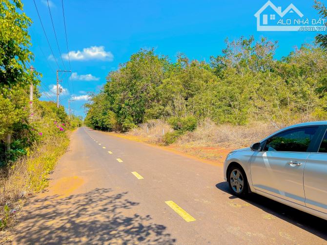 BÁN LÔ ĐẤT ĐẸP MT NHỰA TP.BÀ RỊA, PHỦ HỒNG -THỔ CƯ KHỦNG, CÁCH BIỂN CHỈ 15 PHÚT DI CHUYỂN - 5