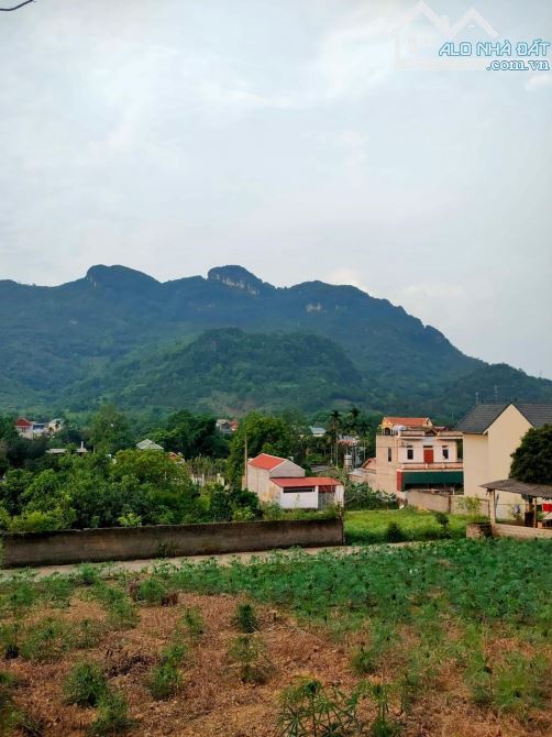 Cần bán mảnh đất CC có 419m full thổ cư tại Lương Sơn đất 2 mặt đường giá đầu tư - 6