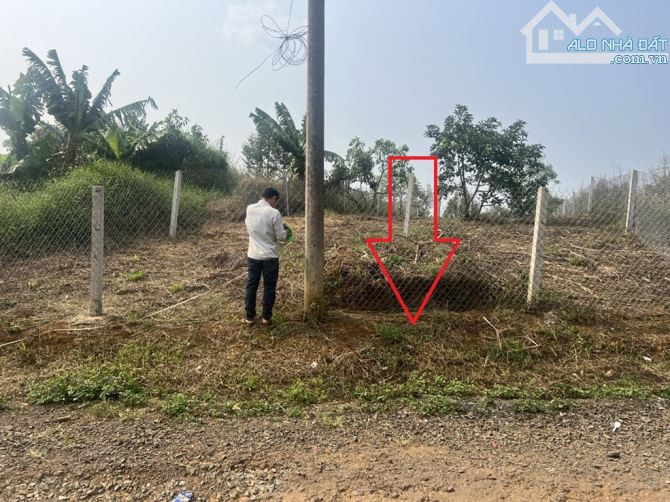 Đất có thể kinh doanh được Bán 185m2 đất Lộc Đức Bảo Lâm mặt tiền đường lớn - 1