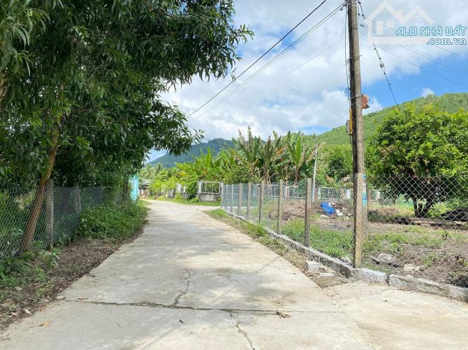 Đất Thổ Cư Ngang 10m Ngay Chợ Diên Tân Hương Lộ 62 - 3