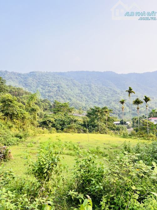 CẦN BÁN GẤP 13.000M2 ( 1,3ha )NẰM TRỌN TRONG KHUÂN VIÊN NGHỈ DƯỠNG KHU NAM VIÊN l - 3
