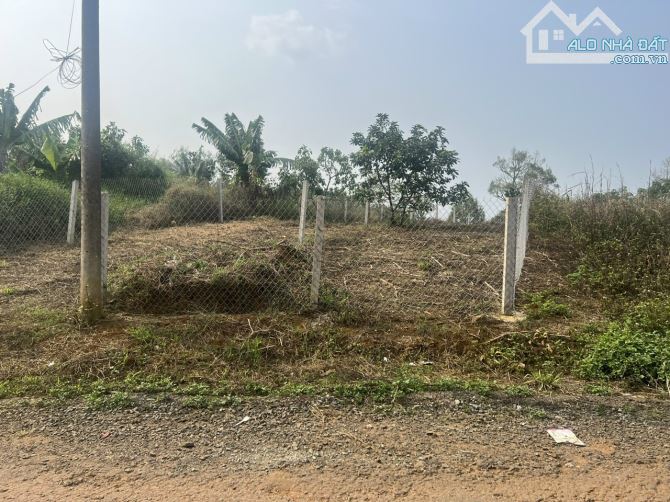 Đất có thể kinh doanh được Bán 185m2 đất Lộc Đức Bảo Lâm mặt tiền đường lớn - 3