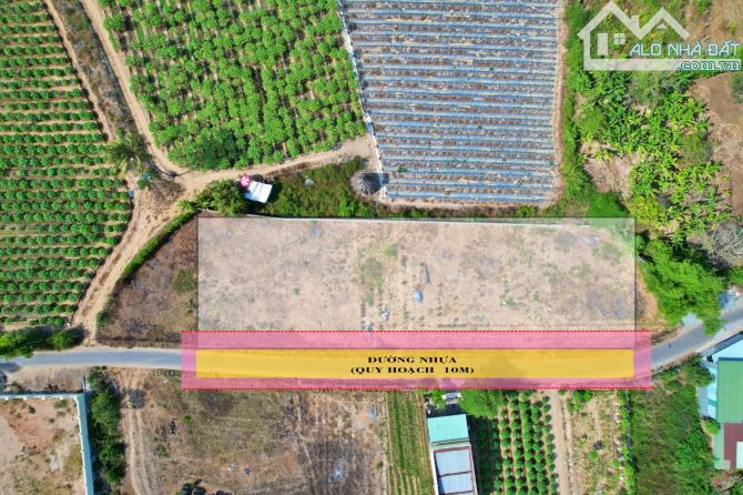 Duy nhất 10 lô đất sổ đỏ ngay trung tâm hành chính Diên Khánh chỉ từ 800tr - 4
