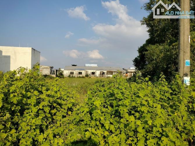 cần bán nền đường lò hột hẻm 57 hoặc hẻm 71 đều vô được, gần chợ Trà Vinh