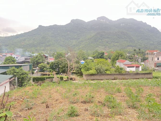 Chính chủ gửi cần bán 419m2 full thổ cư tại Lâm Sơn - Lương Sơn - HB - 1