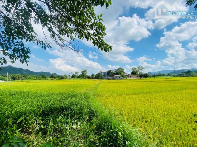 BÁN GẤP LÔ ĐẤT CÓ DT 1800m2 (100m2 ONT) VIEW NHÌN TRỌN RA CÁNH ĐỒNG VÀ NÚI ĐÁ CỰC ĐẸP - 1