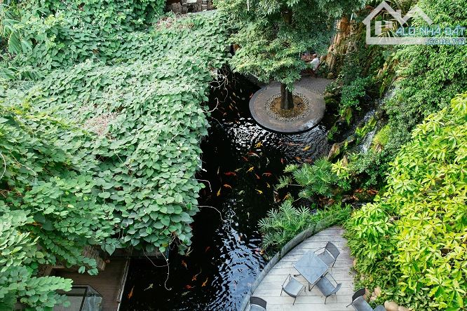 Siêu khan hiếm dòng tiền gần 5% tòa nhà MT Trường Sơn Q.10 - 16x26m Hầm 6 tầng giá 98 tỷ - 2