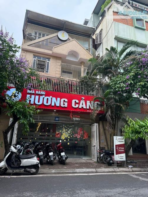 View Quận Ủy Đống Đa, Siêu Phẩm Phố Hoàng Cầu. 146m x 3T x 6,7m. Giá hơn 60 tỷ - 2