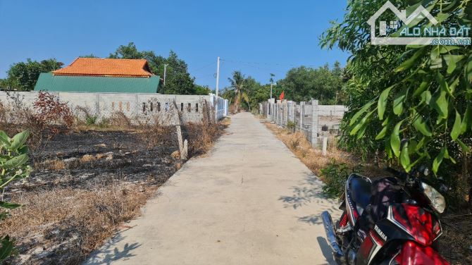 Bán Đất Giá Ngộp  6x30(181m2) full thổ cư Lô 2 Ngô Tất Tố, xã Tân Phước, Tx. LAgi - 2