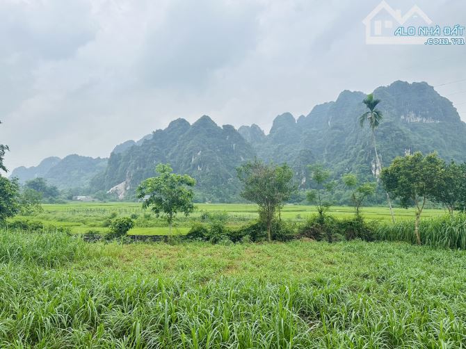 BÁN GẤP LÔ ĐẤT CÓ DT 1800m2 (100m2 ONT) VIEW NHÌN TRỌN RA CÁNH ĐỒNG VÀ NÚI ĐÁ CỰC ĐẸP - 2