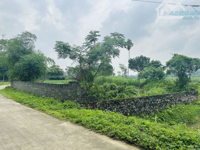 BÁN GẤP LÔ ĐẤT CÓ DT 1800m2 (100m2 ONT) VIEW NHÌN TRỌN RA CÁNH ĐỒNG VÀ NÚI ĐÁ CỰC ĐẸP - 4