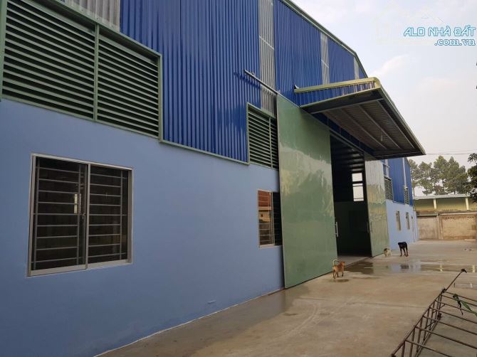 Kho trống cho thuê 2400m2 đường xe Cont đi 24 tại Nguyễn Văn Quỳ, Quận 7 - 2